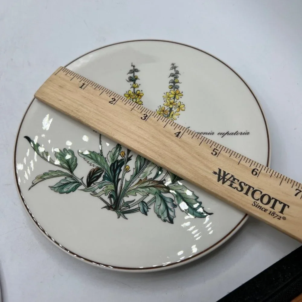 Villeroy & Boch BOTANICA Round Trivet Tea Plate Agrimominia